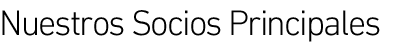 Nuestros Socios Principales